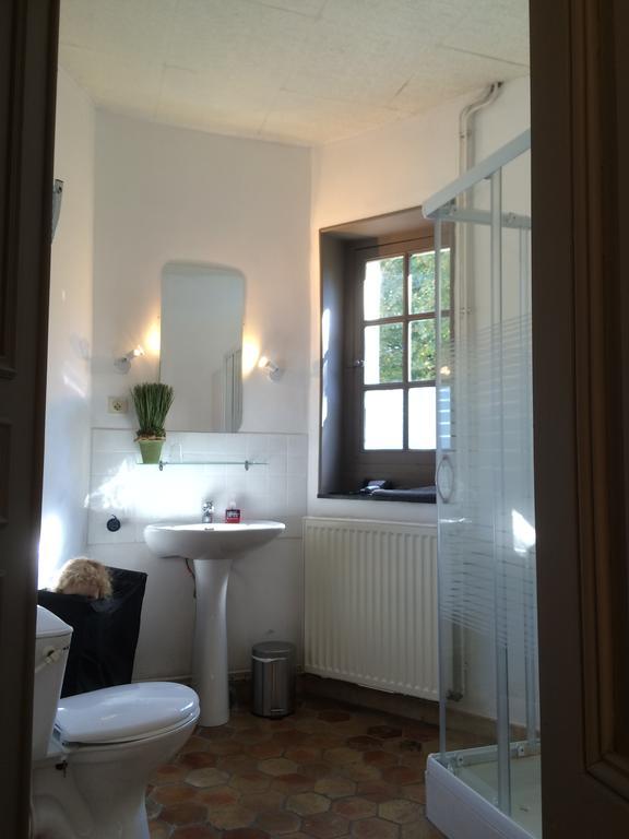 Bed and Breakfast Chateau De Seurre - No Boring People Please - O6-Io-66-95-83 Екстер'єр фото